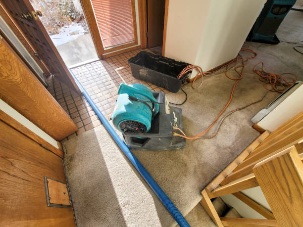Best Flood Cleanup and Water Removal in USA